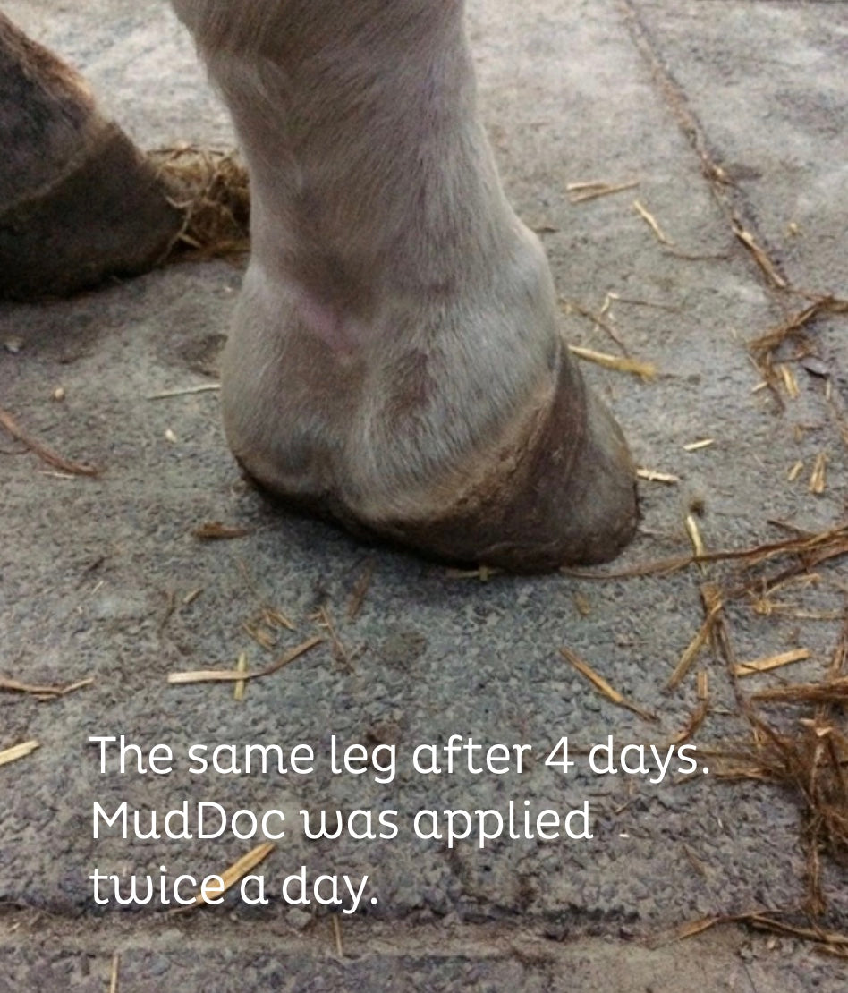 MudDoc